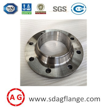 Introductio et notae ANSI B16.5 300lb sq.in Weld Neck Flange