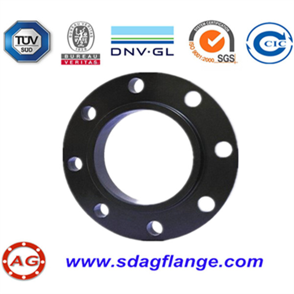EN1092-1 flange