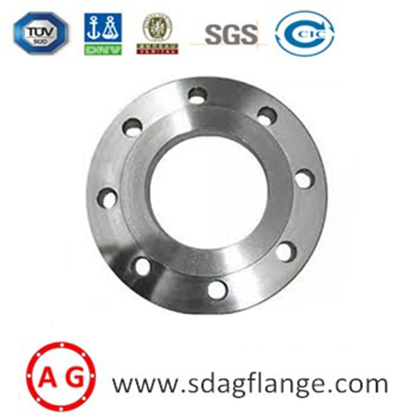EN1092-1 flange
