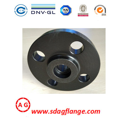 SWRF Steel Pipe Flange Forging Signa EN1092 Pentium Flange Weld